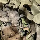#4689 German Camo Net_01.webp