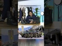 youtube - [Video]