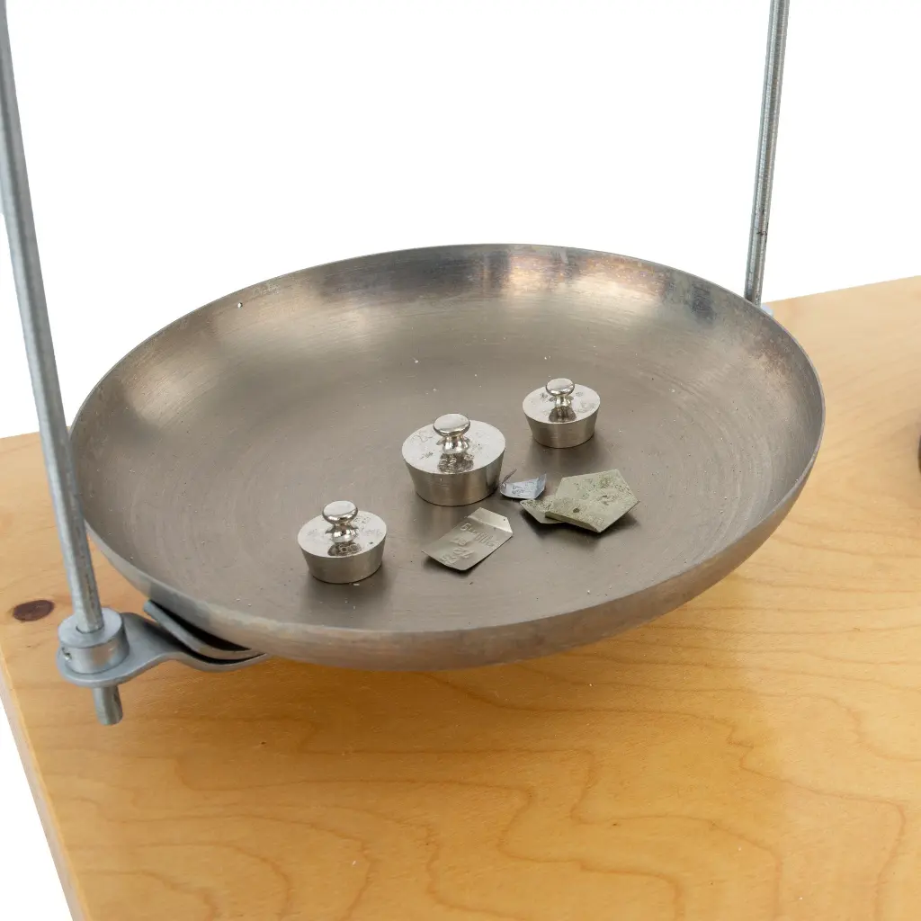 62913 Scale Dish.webp