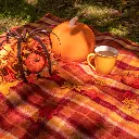 Pumpkin-Spice-Blanket-outside.webp