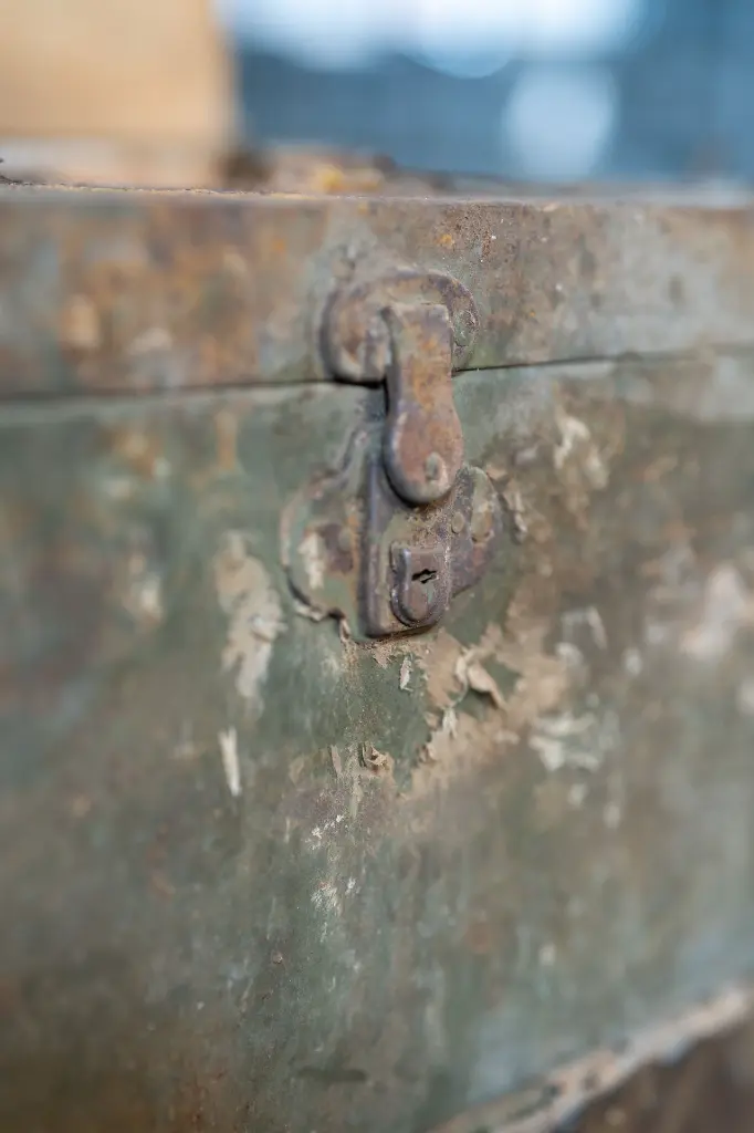 _DSC6269.webp