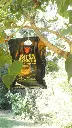 AC2444-camping-shower-20i4.webp