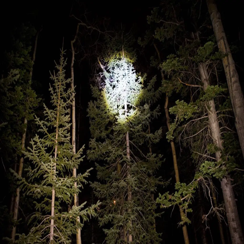 J5 V1 PRO Tactical Flashlight_05.webp