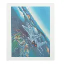 RB02 Flat.webp