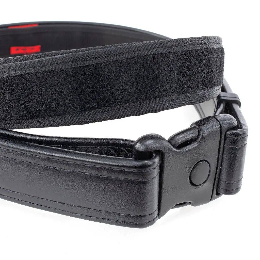 67219 Inner Belt Detail.webp