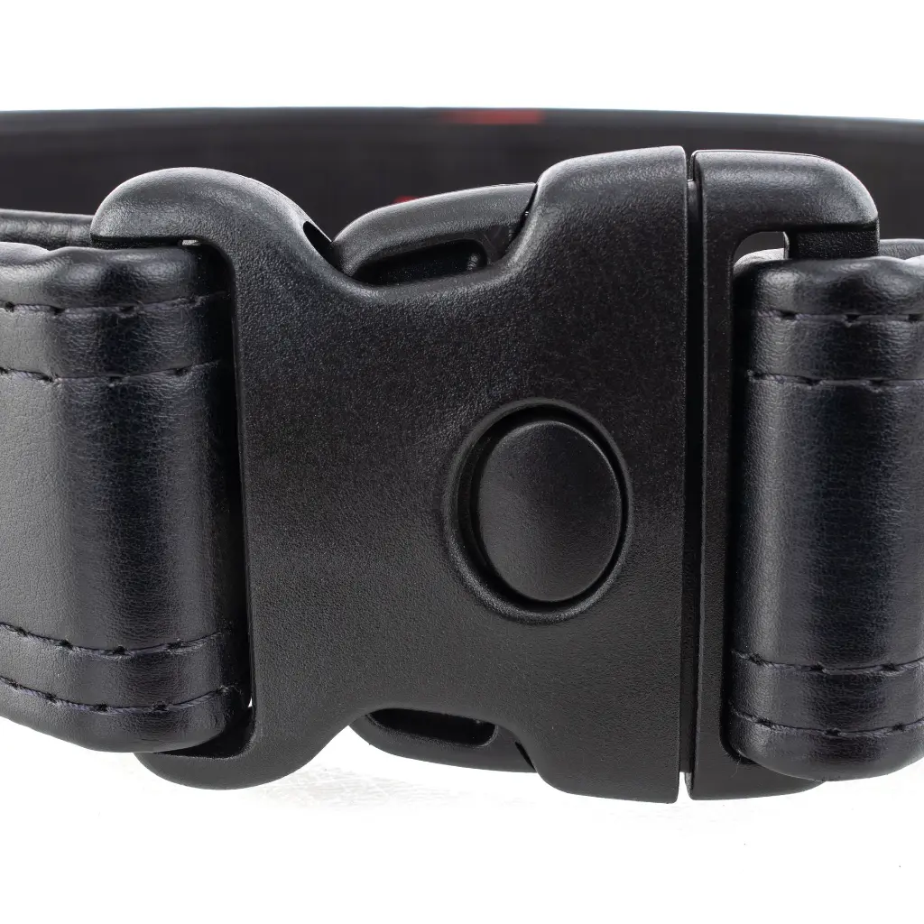 67219 Buckle Detail.webp