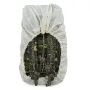 67260 On Bag Back.webp