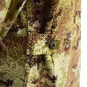 8005 Latch Detail.webp