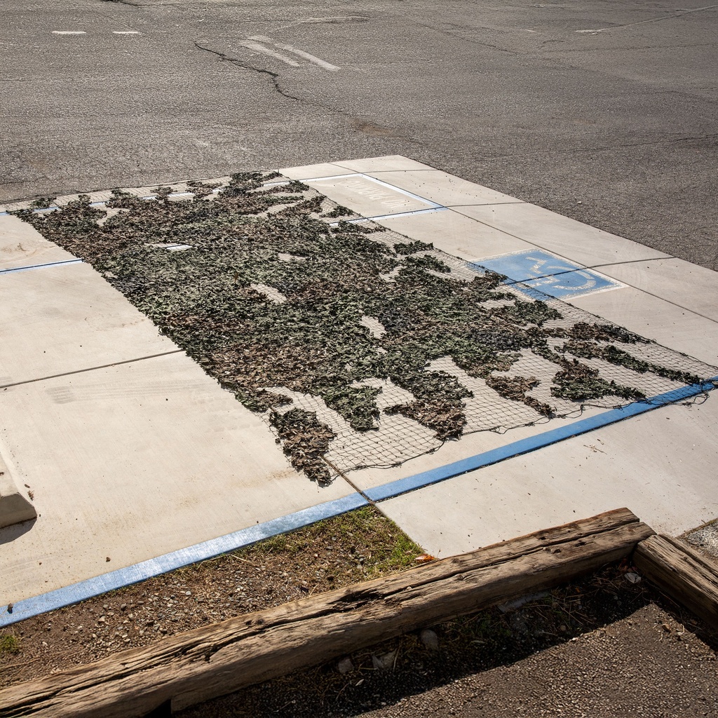 German Camo Netting Woodland | 10' x 20' | Issued