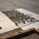 German Camo Netting Woodland | 10' x 20' | Issued