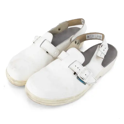 [59209] Austrian Abeba Safety Medical Clogs | Issued
