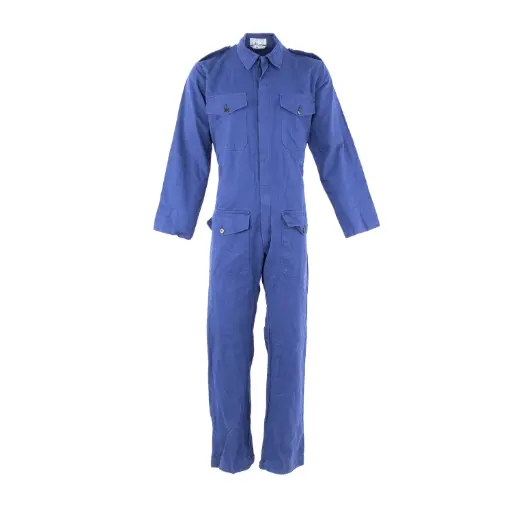 [636119] Dutch Blue Mechanics Coveralls | Issued